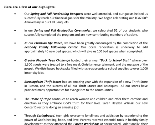 Annual Report for Web Site-2