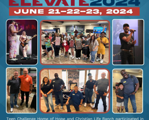 Annual Report for Web Site-24